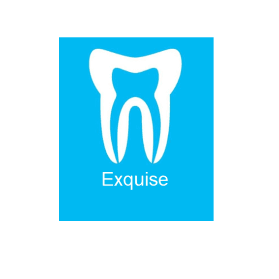 Exquise logo 1